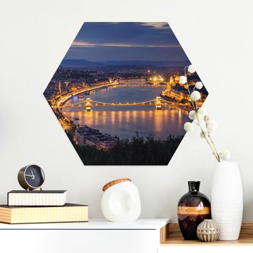Hexagon Bild Alu-Dibond - Blick über Budapest