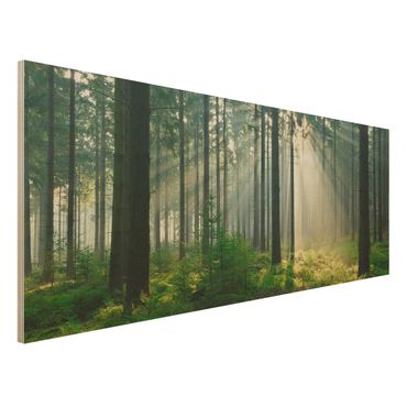Holz Wandbild - Enlightened Forest - Panorama Quer
