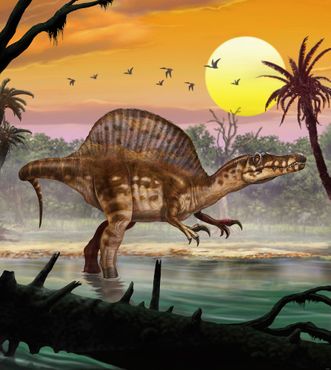 Fototapete - Spinosaurus