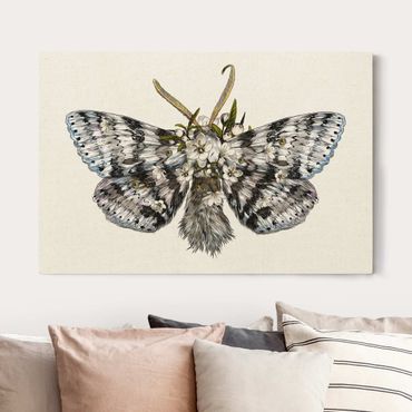 Leinwandbild Natur - Illustration florale Motte - Querformat 3:2