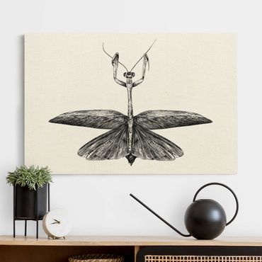 Leinwandbild Natur - Illustration stolze Mantis Schwarz - Querformat 3:2