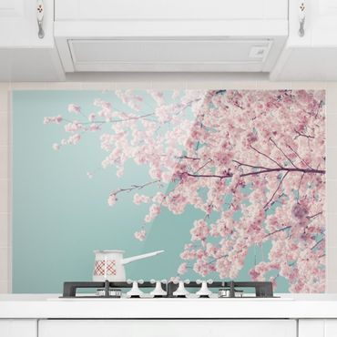 Spritzschutz Glas - Japanische Kirschblüte - Querformat 3:2