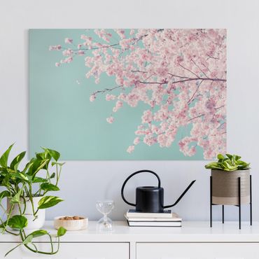 Leinwandbild - Japanische Kirschblüte - Querformat 3:2