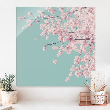 Glasbild - Japanische Kirschblüte - Quadrat 1:1