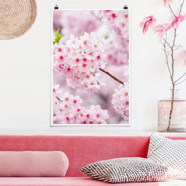 Poster - Japanische Kirschblüten - Hochformat 2:3