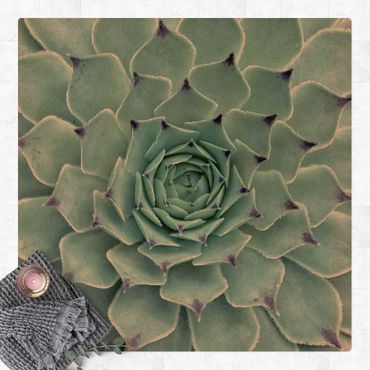 Kork-Teppich - Kaktus Agave - Quadrat 1:1
