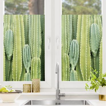 Fensterfolie - Sichtschutz - Kaktus Wand - Fensterbilder