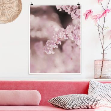 Poster - Kirschblüte im Violetten Licht - Hochformat 3:4