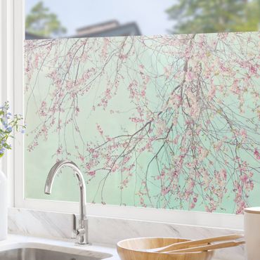 Fensterfolie - Sichtschutz - Kirschblütensehnsucht - Fensterbilder