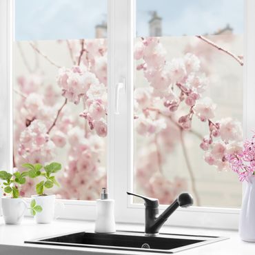 Fensterfolie - Sichtschutz - Kirschblütentanz - Fensterbilder