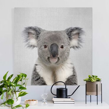 Leinwandbild - Koala Klaus - Quadrat 1:1