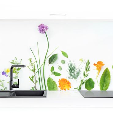Küchenrückwand - Kräuter und Blüten
