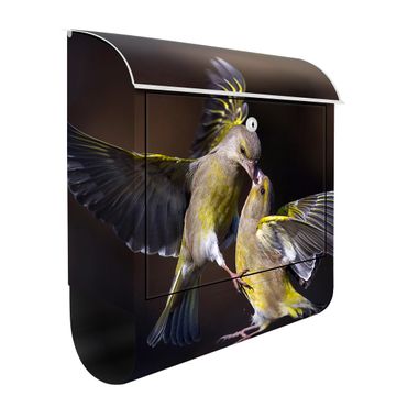 Briefkasten - Küssende Kolibris