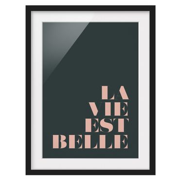Bild mit Rahmen - La Vie est Belle Spruch