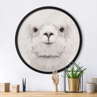 Rundes Gerahmtes Bild - Lächelndes Alpaka