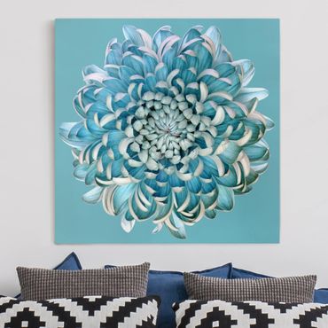Leinwandbild - Blaue Chrysantheme - Quadrat 1:1