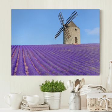 Leinwandbild - Lavendelduft in der Provence - Quer 4:3