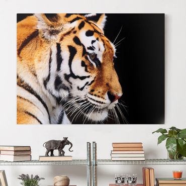 Acrylglas-Bild Wandbilder Druck 120x60 Deko Tiere Tiger Felsen 