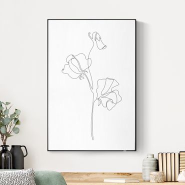 Akustik-Wechselbild - Line Art Blumen - Erbsenpflanze