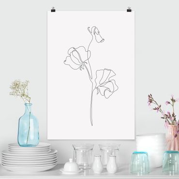 Poster - Line Art Blumen - Erbsenpflanze - Hochformat 2:3
