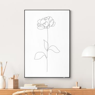 Wechselbild - Line Art Blumen - Pfingstrose