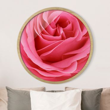 Rundes Gerahmtes Bild - Lustful Pink Rose