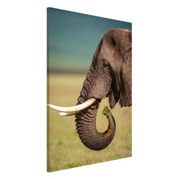 Magnettafel - Elefantenfütterung Afrika - Memoboard Hochformat 3:2