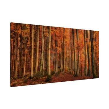 Magnettafel - Herbstspaziergang - Memoboard Panorama Quer