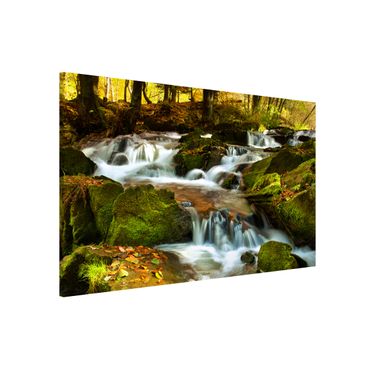 Magnettafel - Wasserfall herbstlicher Wald - Memoboard Quer