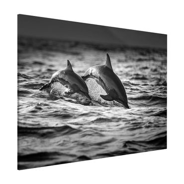 Magnettafel - Zwei springende Delfine - Memoboard Querformat 3:4