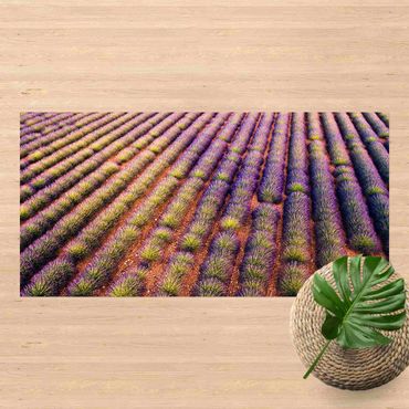 Vinyl-Teppich - Malerisches Lavendelfeld