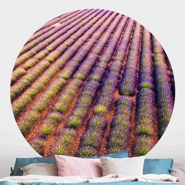 Runde Tapete selbstklebend - Malerisches Lavendelfeld