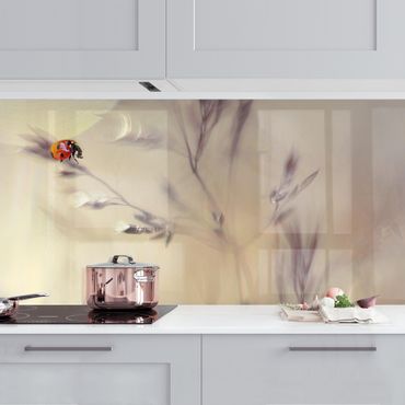 Küchenrückwand - Marienkäfer auf Wiesengras