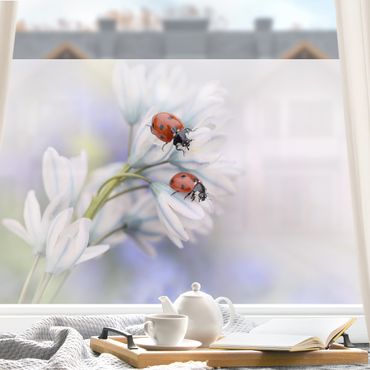 Fensterfolie - Sichtschutz - Marienkäfer Paar - Fensterbilder