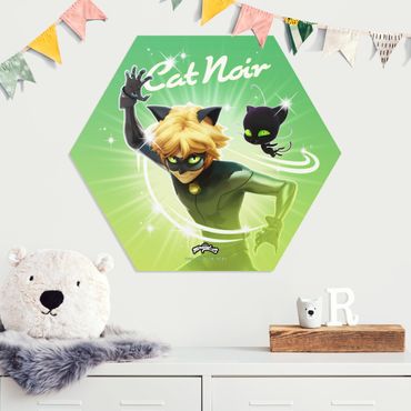 Hexagon-Forexbild - Miraculous Cat Noir und Plagg