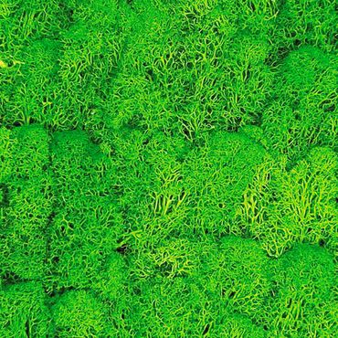 Akustikpaneel - Mooswand grasgrün 52x52 cm