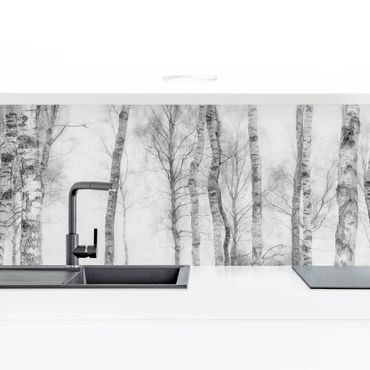 Küchenrückwand - Mystischer Birkenwald Schwarz-weiß
