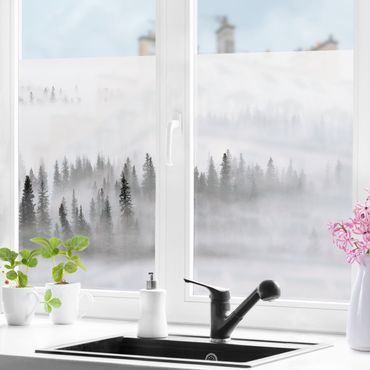 Fensterfolie - Sichtschutz - Nebel im Tannenwald Schwarz-Weiß - Fensterbilder