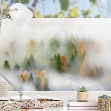 Fensterfolie - Sichtschutz - Nebelwald im Herbst - Fensterbilder