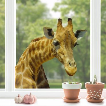 Fensterfolie - Fenstersticker No.21 Neugierige Giraffe - Fensterbilder