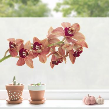 Fensterfolie - Sichtschutz - No.180 Orchidee Rot II - Fensterbilder