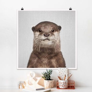 Poster - Otter Oswald - Quadrat 1:1