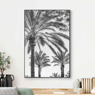 Wechselbild - Palmen im Sonnenuntergang Schwarz-Weiß