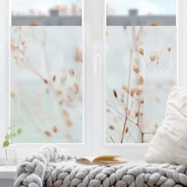 Fensterfolie - Sichtschutz - Pastellknospen am Wildblumenzweig - Fensterbilder