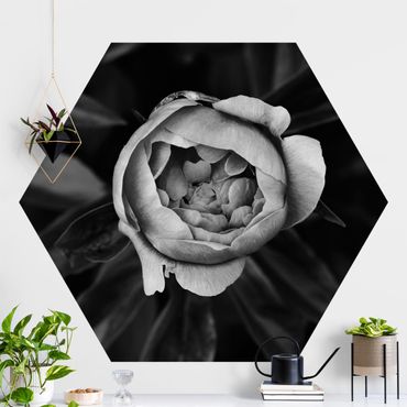 Hexagon Mustertapete selbstklebend - Pfingstrosenblüte vor Blättern Schwarz-Weiß