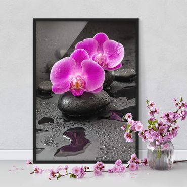 Bild mit Rahmen - Pinke Orchideenblüten auf Steinen mit Tropfen - Hochformat 3:4