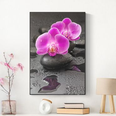Akustik-Wechselbild - Pinke Orchideenblüten auf Steinen mit Tropfen