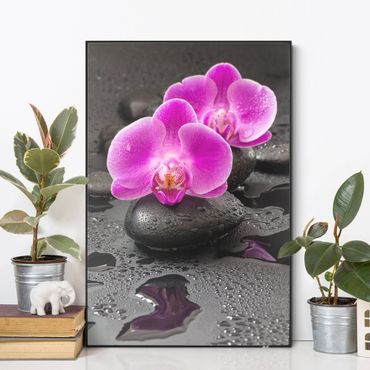Wechselbild - Pinke Orchideenblüten auf Steinen mit Tropfen