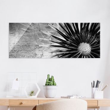 Glasbild - Pusteblume Schwarz & Weiß - Panorama Quer