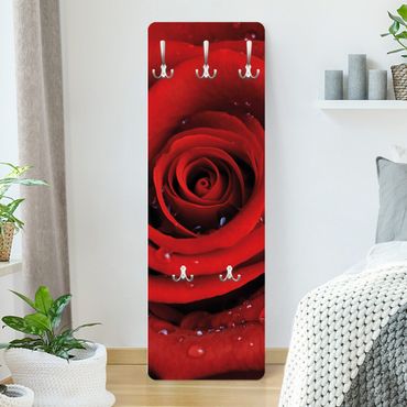 Rosen Garderobe - Rote Rose mit Wassertropfen - Blumenbild Rot